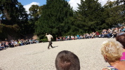Klicken Sie auf das Bild, um es zu vergrößern