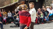 Klicken Sie auf das Bild, um es zu vergrößern