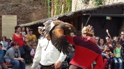 Klicken Sie auf das Bild, um es zu vergrößern