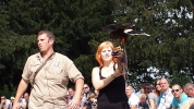 Klicken Sie auf das Bild, um es zu vergrößern