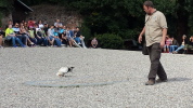 Klicken Sie auf das Bild, um es zu vergrößern