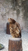 Klicken Sie auf das Bild, um es zu vergrößern