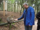 Klicken Sie auf das Bild, um es zu vergrößern