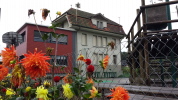 Klicken Sie auf das Bild, um es zu vergrößern